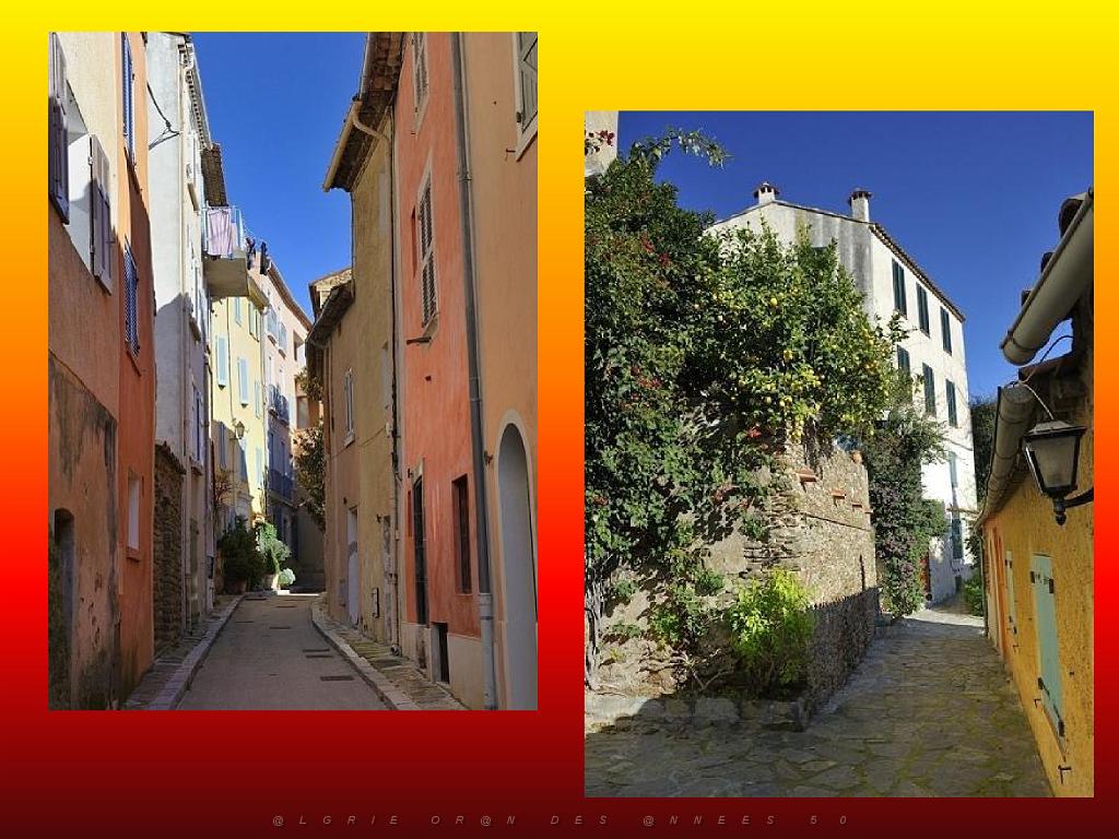 183 D25 BORMES LES MIMOSAS 3_000026.jpg